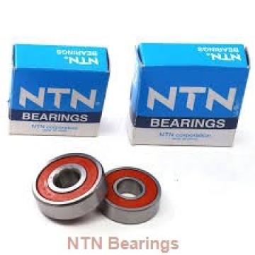 NTN N417 cylindrical roller bearings